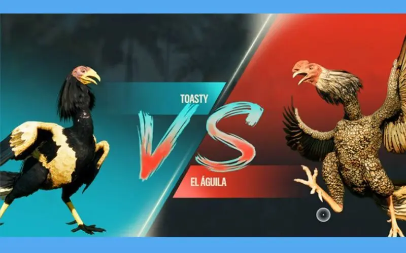 Đá Gà Cựa Dao Tại Win88: Lựa Chọn Giải Trí Kịch Tính 3 Trải nghiệm đá gà cựa dao tại Win88